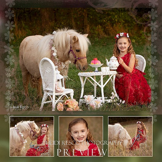 Pony Mini Sessions 